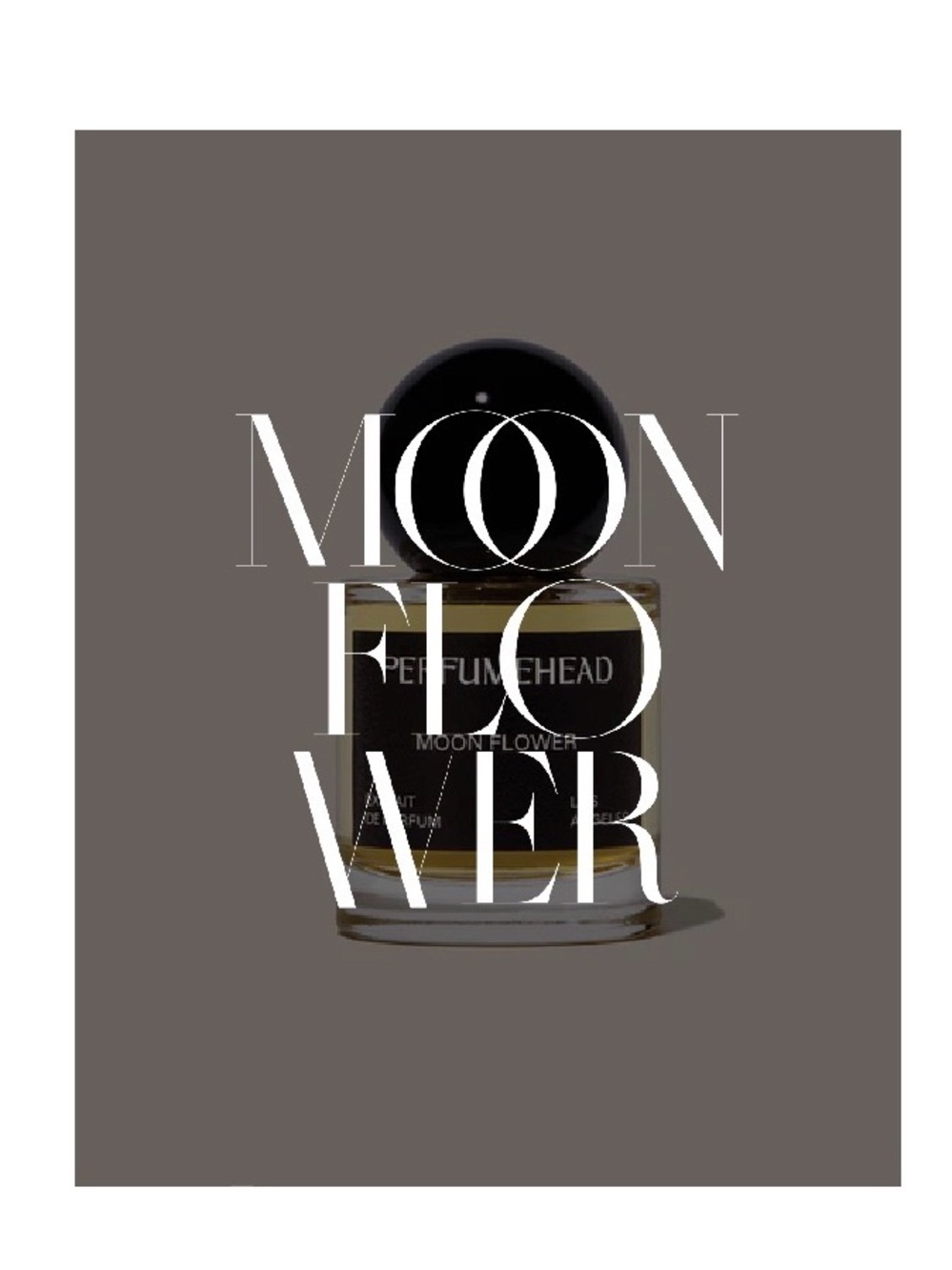MOON FLOWER
EXTRAIT DE PARFUM from PERFUMEHEAD